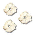100% SILK LARGE SCRUBBLES - BEIGE